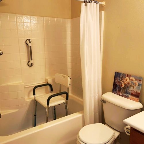 Assisted Living Services